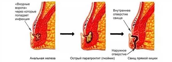 Лучшие