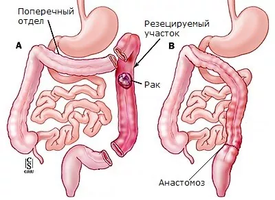 Овощи