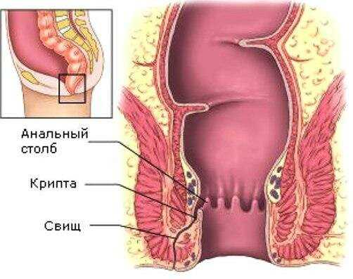 Причины