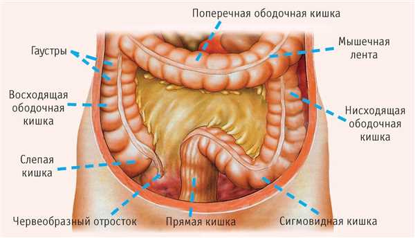 Возможные