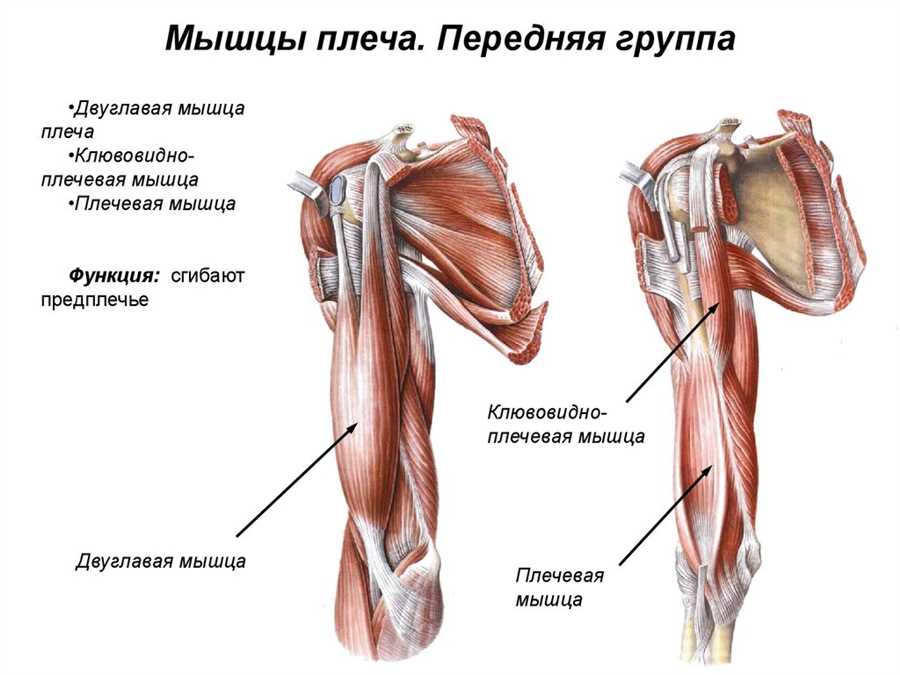 Рекомендации