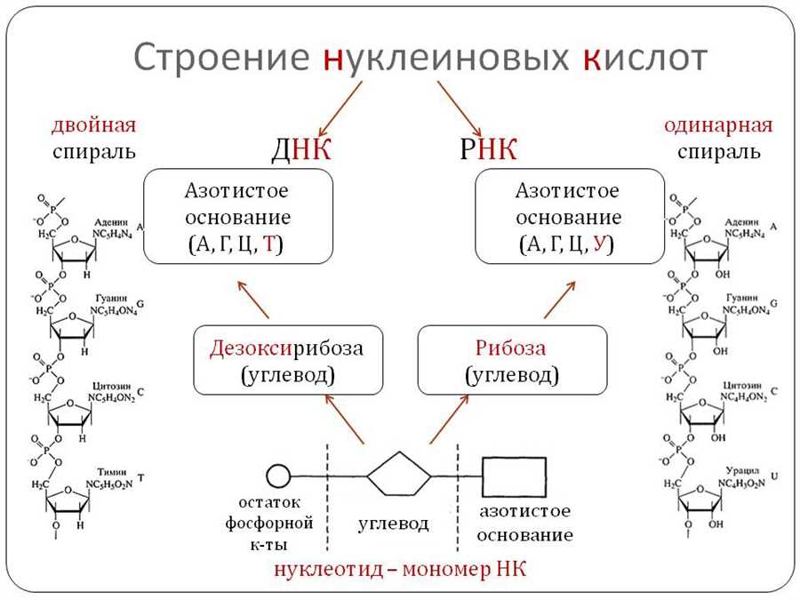 Роль