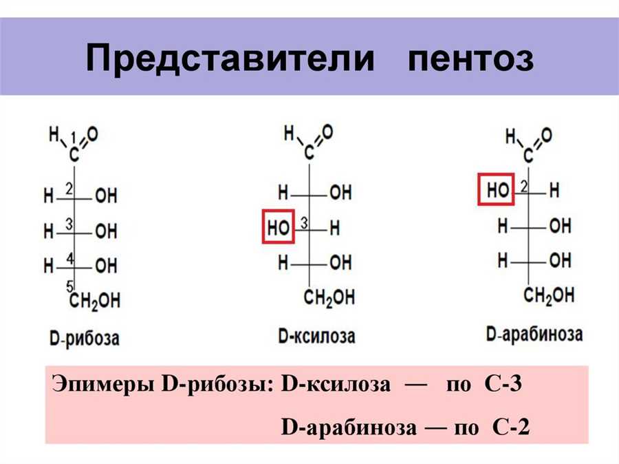 Биоразлагаемость