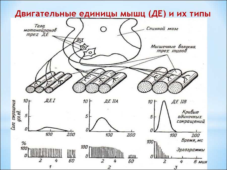 Распределение