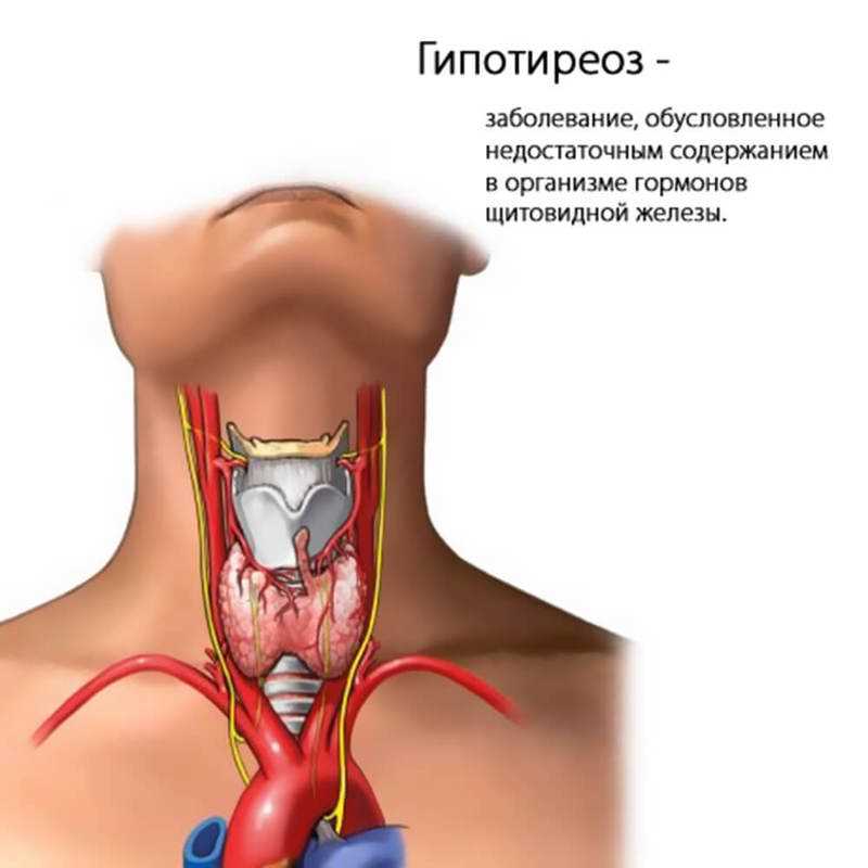 Топография