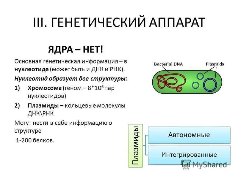 Структура