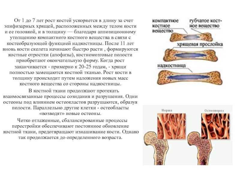 Роль