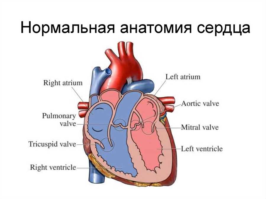 Профилактика