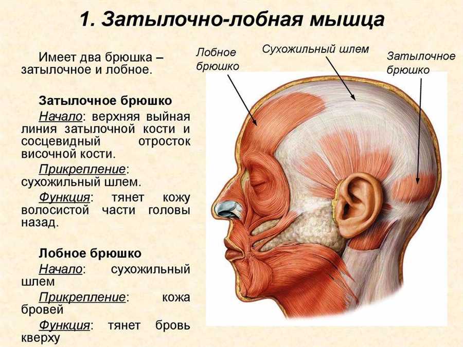 Преимущества