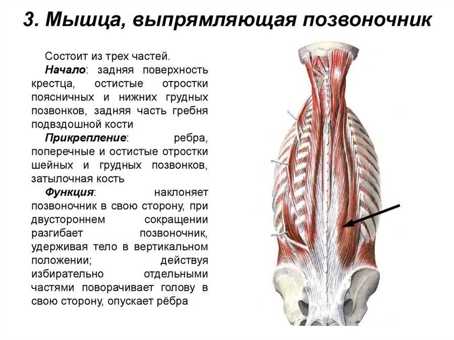 Нервно-мышечные