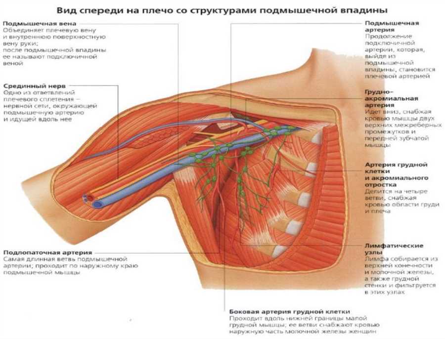 Топографическое