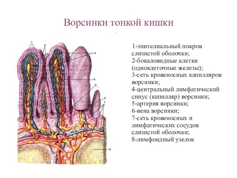 Роль