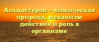 Альдостерон — химическая природа, механизм действия и роль в организме