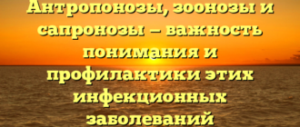 Антропонозы, зоонозы и сапронозы — важность понимания и профилактики этих инфекционных заболеваний