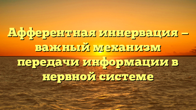 Афферентная иннервация — важный механизм передачи информации в нервной системе