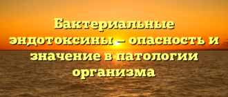 Бактериальные эндотоксины — опасность и значение в патологии организма