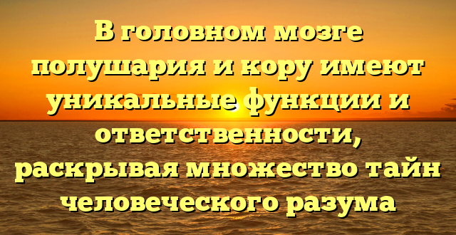 В головном мозге полушария и кору имеют уникальные функции и ответственности, раскрывая множество тайн человеческого разума