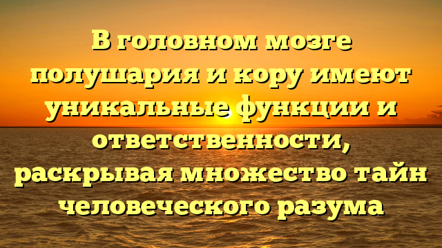 В головном мозге полушария и кору имеют уникальные функции и ответственности, раскрывая множество тайн человеческого разума