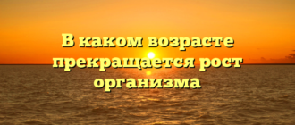 В каком возрасте прекращается рост организма