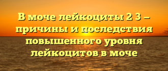 В моче лейкоциты 2 3 — причины и последствия повышенного уровня лейкоцитов в моче