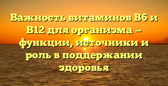 Важность витаминов B6 и B12 для организма — функции, источники и роль в поддержании здоровья