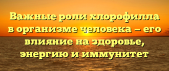 Важные роли хлорофилла в организме человека — его влияние на здоровье, энергию и иммунитет