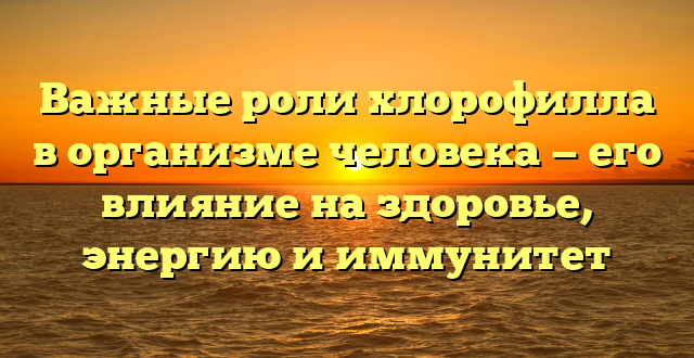 Важные роли хлорофилла в организме человека — его влияние на здоровье, энергию и иммунитет