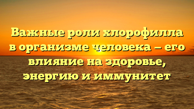 Важные роли хлорофилла в организме человека — его влияние на здоровье, энергию и иммунитет