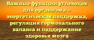 Важные функции углеводов для организма — энергетическая поддержка, регуляция гормонального баланса и поддержание здоровья мозга