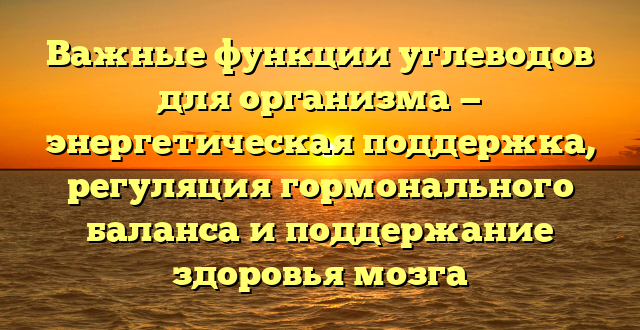 Важные функции углеводов для организма — энергетическая поддержка, регуляция гормонального баланса и поддержание здоровья мозга