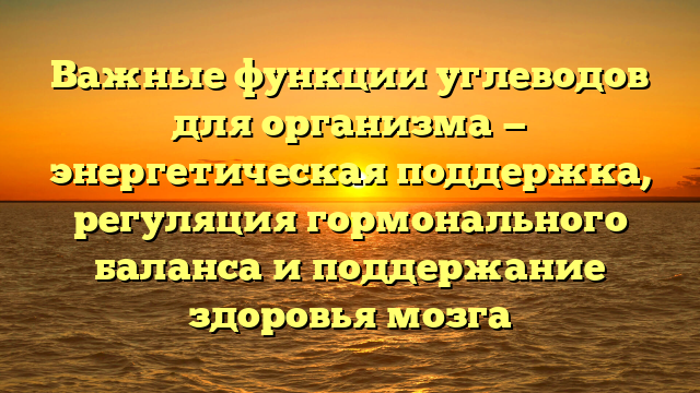 Важные функции углеводов для организма — энергетическая поддержка, регуляция гормонального баланса и поддержание здоровья мозга