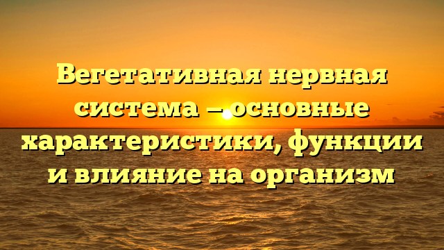 Вегетативная нервная система — основные характеристики, функции и влияние на организм