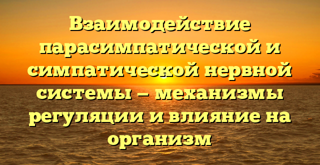 Взаимодействие парасимпатической и симпатической нервной системы — механизмы регуляции и влияние на организм