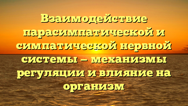 Взаимодействие парасимпатической и симпатической нервной системы — механизмы регуляции и влияние на организм