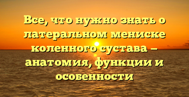 Все, что нужно знать о латеральном мениске коленного сустава — анатомия, функции и особенности