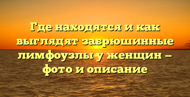 Где находятся и как выглядят забрюшинные лимфоузлы у женщин — фото и описание