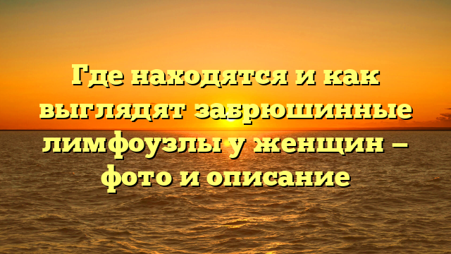 Где находятся и как выглядят забрюшинные лимфоузлы у женщин — фото и описание