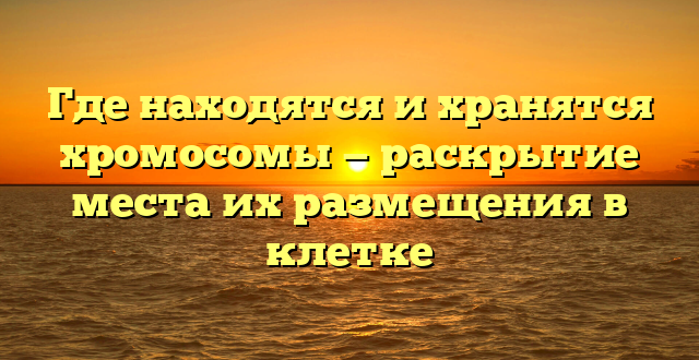 Где находятся и хранятся хромосомы — раскрытие места их размещения в клетке