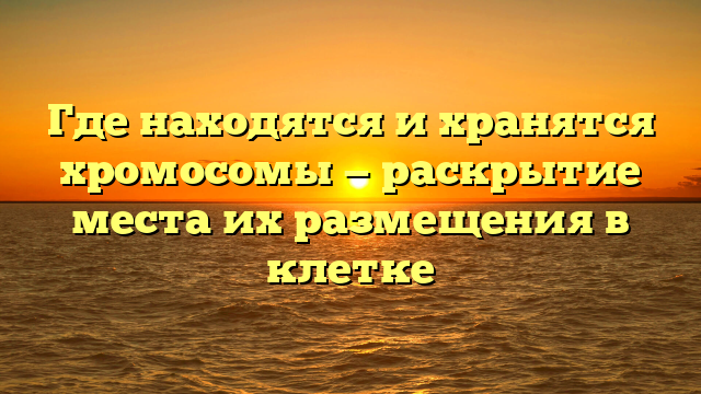 Где находятся и хранятся хромосомы — раскрытие места их размещения в клетке