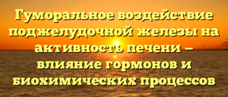 Гуморальное воздействие поджелудочной железы на активность печени — влияние гормонов и биохимических процессов