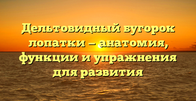 Дельтовидный бугорок лопатки — анатомия, функции и упражнения для развития