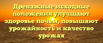 Дренажные исходные положения улучшают здоровье почвы, повышают урожайность и качество урожая