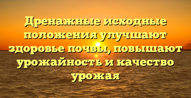 Дренажные исходные положения улучшают здоровье почвы, повышают урожайность и качество урожая