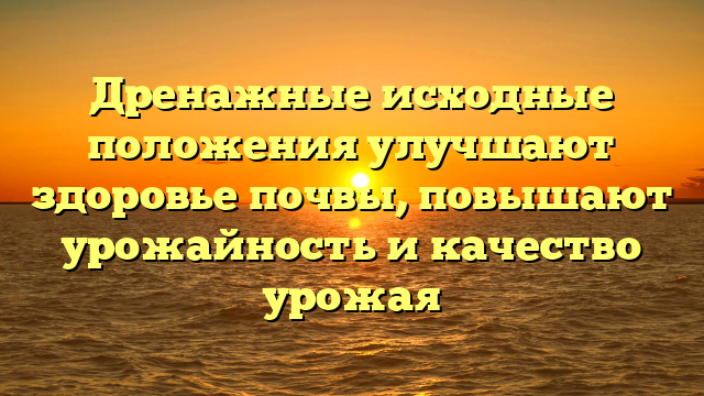 Дренажные исходные положения улучшают здоровье почвы, повышают урожайность и качество урожая