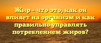 Жир – что это, как он влияет на организм и как правильно управлять потреблением жиров?