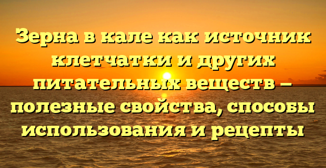 Зерна в кале как источник клетчатки и других питательных веществ — полезные свойства, способы использования и рецепты