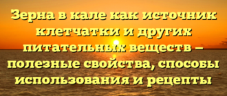Зерна в кале как источник клетчатки и других питательных веществ — полезные свойства, способы использования и рецепты