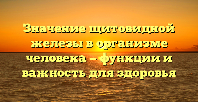 Значение щитовидной железы в организме человека — функции и важность для здоровья