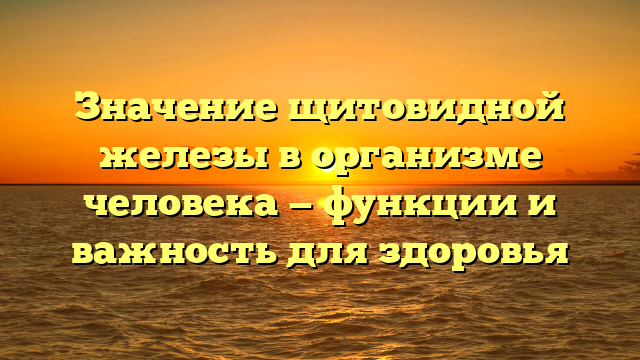 Значение щитовидной железы в организме человека — функции и важность для здоровья