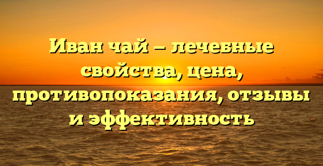 Иван чай — лечебные свойства, цена, противопоказания, отзывы и эффективность